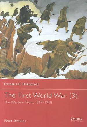 The First World War de Peter Simkins