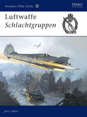 Luftwaffe Schlachtgruppen de John Weal