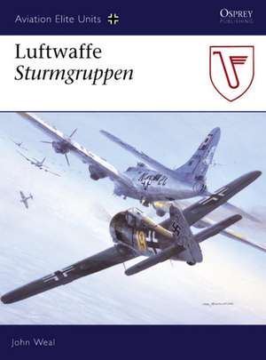 Luftwaffe Sturmgruppen de John Weal