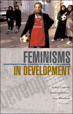 Feminisms in Development