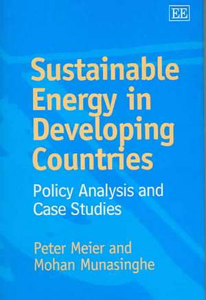 Sustainable Energy in Developing Countries – Policy Analysis and Case Studies de Peter Meier