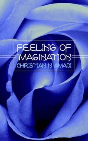 Feeling of Imagination de Christian Amadi