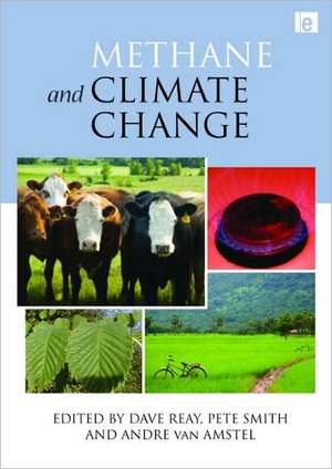 Methane and Climate Change de Dave Reay