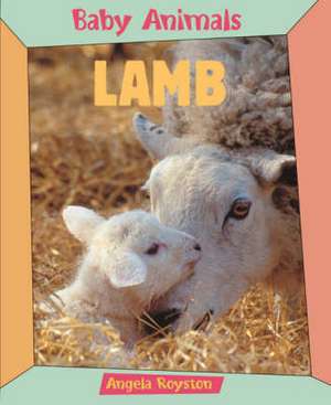 Lamb de Angela Royston