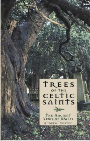 Trees of the Celtic Saints The Ancient Yews of Wales de Andrew Morton