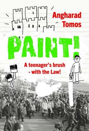 Paint! de Angharad Tomos