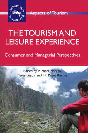 The Tourism and Leisure Experience de Michael Morgan