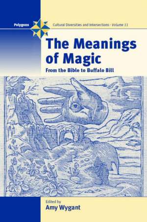 The Meanings of Magic: From the Bible to Buffalo Bill de Amy Wygant