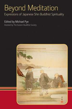 Beyond Meditation de Michael Pye