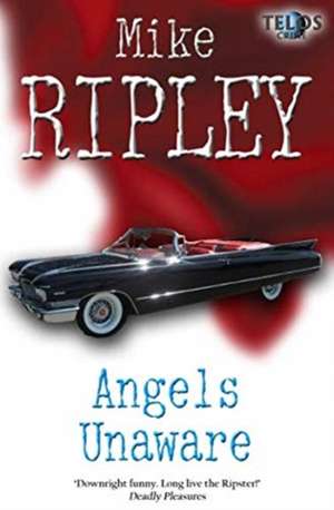 Angels Unaware de Mike Ripley