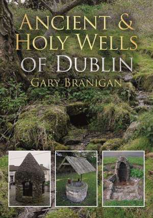 Ancient and Holy Wells of Dublin de Gary Branigan