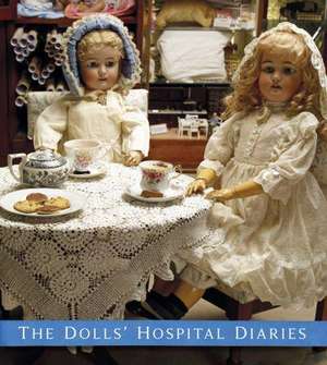 The Dolls' Hospital Diaries: The Irish in Australia de Melissa Nolan