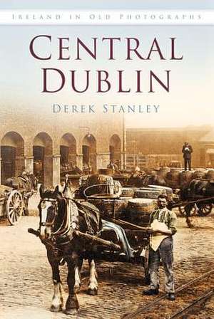 Central Dublin de Derek Stanley