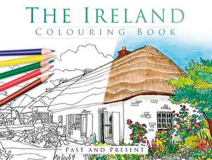 The Ireland Colouring Book: Past and Present de History Press