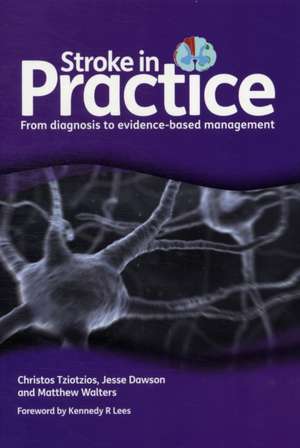 Stroke in Practice: From Diagnosis to Evidence-Based Management de Christos Tziotzios