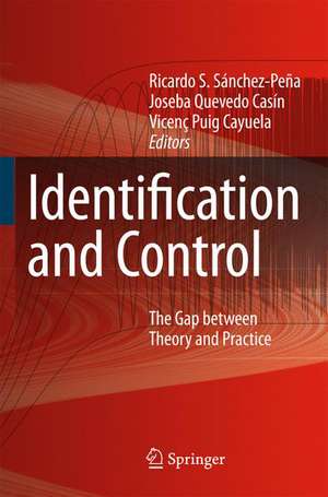 Identification and Control: The Gap between Theory and Practice de Ricardo S. Sánchez-Peña