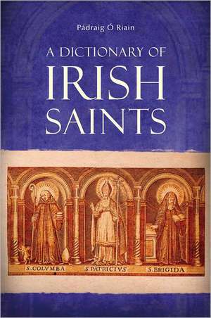 A Dictionary of Irish Saints de Paadraig Ao Riain