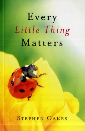 Every Little Thing Matters de Stephen Oakes