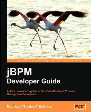 Jbpm Developer Guide de Mauricio Salatino