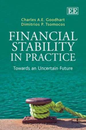 Financial Stability in Practice – Towards an Uncertain Future de Charles A.e. Goodhart