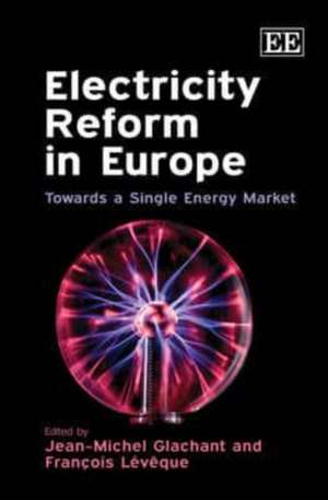 Electricity Reform in Europe – Towards a Single Energy Market de Jean–michel Glachant