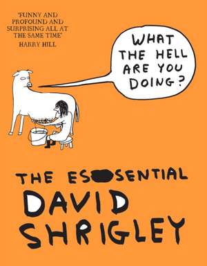 What The Hell Are You Doing?: The Essential David Shrigley de David Shrigley