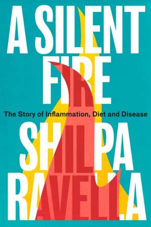 A Silent Fire de Shilpa Ravella