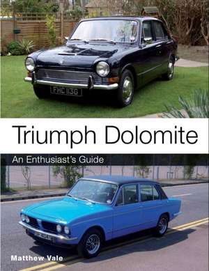 Triumph Dolomite de Matthew Vale