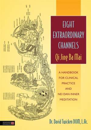 Eight Extraordinary Channels: A Handbook for Clinical Practice and Nei Dan Inner Meditation de David Twicken