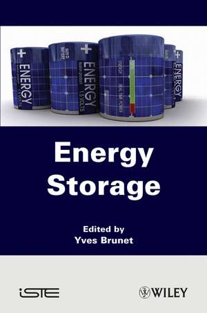 Energy Storage de Y Brunet