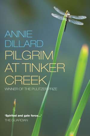 Pilgrim at Tinker Creek de Annie Dillard