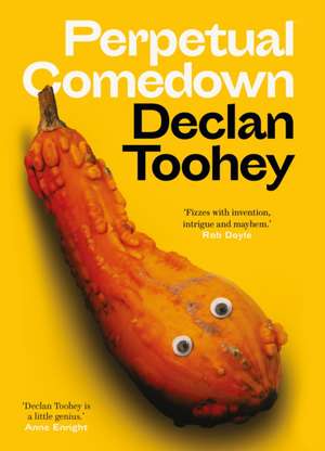 Perpetual Comedown de Declan Toohey