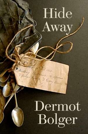 Hide Away de Dermot Bolger