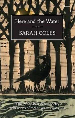 Here and the Water de Sarah Coles