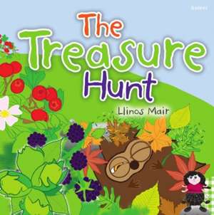 Treasure Hunt de Llinos Mair