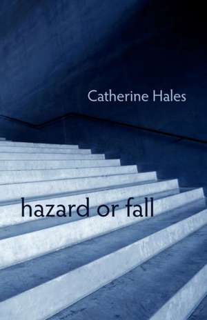 Hazard or Fall de Catherine Hales