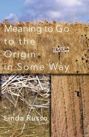 Meaning to Go to the Origin in Some Way de Linda Russo