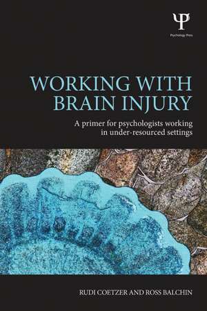 Working with Brain Injury: A primer for psychologists working in under-resourced settings de Rudi Coetzer