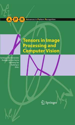 Tensors in Image Processing and Computer Vision de Santiago Aja-Fernández