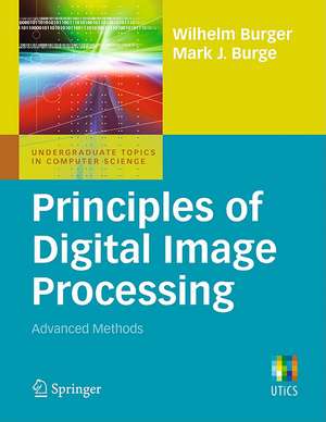 Principles of Digital Image Processing: Advanced Methods de Wilhelm Burger