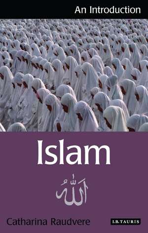 Islam: An Introduction de Catharina Raudvere