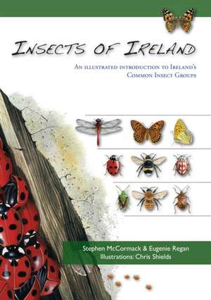 Insects of Ireland: An Illustrated Introduction to Ireland's Common Insect Groups de STEPHEN MCCORMACK