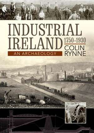 Industrial Ireland 1750-1930: An Archaeology de Colin Rynne