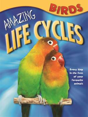 Amazing Life Cycles: Birds