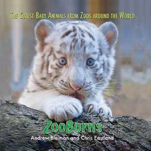 Bleiman, A: ZooBorns de Andrew Bleiman