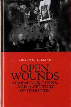 Cheterian, V: Open Wounds de Vicken Cheterian