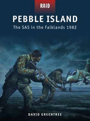 Pebble Island - The SAS in the Falklands 1982 de Gregory Barnes