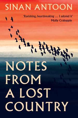 Notes from a Lost Country de Sinan Antoon