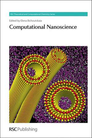 Computational Nanoscience de Elena Bichoutskaia