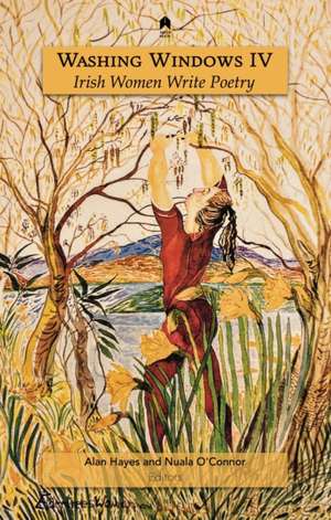 Washing Windows IV de Alan Hayes